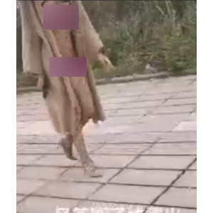 大神单下教你修复断线风筝，百度云资源分享