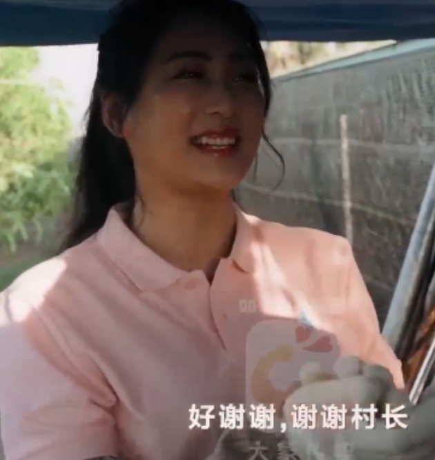 传媒新作15v9.1g：百度、ED2K热度爆表，各类视频尽收眼底