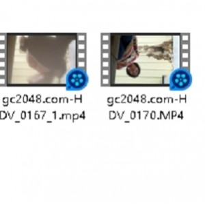 新品稀缺沟圣厕拍原档完整第十二期百度盘