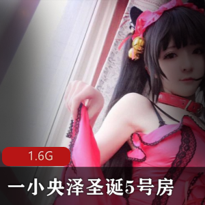 圣诞特惠5号房合集