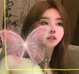 91小蓝汽车座椅香水＋玫瑰花瓣＋28片2V700m鲤鲤贴