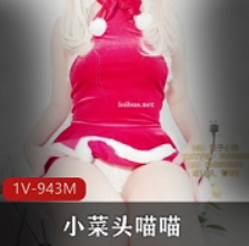 小菜头喵喵圣诞专辑：活泼视频