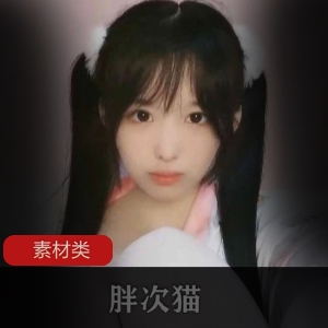 超级软萌小奶猫胖次猫合集