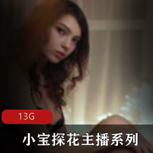 91探花小宝系列主播合集