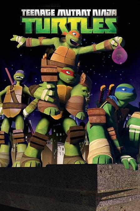 《忍者神龟：童年的英雄奇迹》