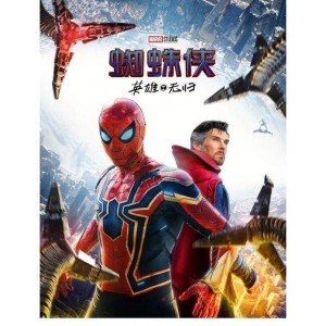 《蜘蛛侠之英雄无归非刻录版：多种格式满足你的需求，倍速播放精彩不停》