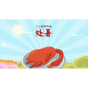 二十四节气系列创意动画：让你更深入的了解二十四节气的新鲜感
