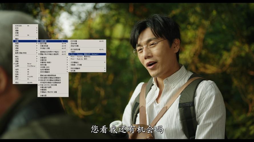 4K视频：带你去见我妈，DDP2.0、AAC、H265编码，HDSWEB、阿里云盘、极速在线查看，视频原画倍速播放