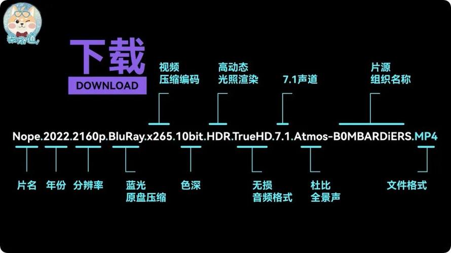 4K视频：带你去见我妈，DDP2.0、AAC、H265编码，HDSWEB、阿里云盘、极速在线查看，视频原画倍速播放