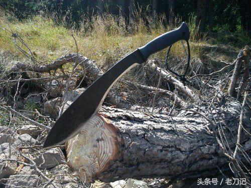 热门影片：《弯刀杀戮特效字幕版》，极速播放，原画视频质量，字幕版本