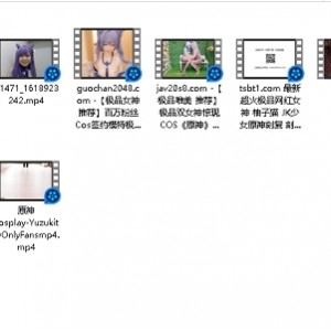 《原神cos合集：骚的精彩演绎，14v，20.12g，百度盘下载》