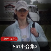 SM小合集2：17部虐待视频，总大小3.8G，珍贵资源不容错过!