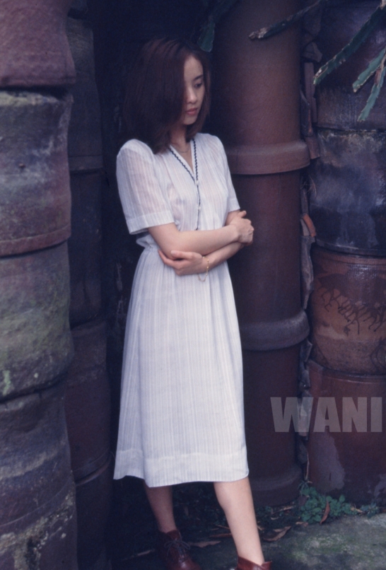 摄影大师王动WANIMAL72.5G补链：视图合集，艺术收藏单下