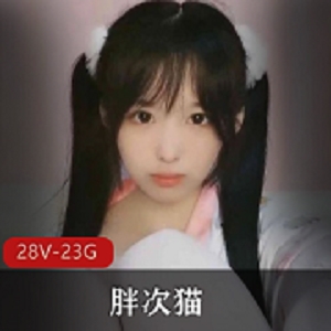 胖次猫资源合集：双马尾少女袜子女神，23G视频大放送！
