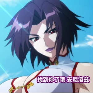 鋼鉄の魔女4V249P2.1G百度盘转载