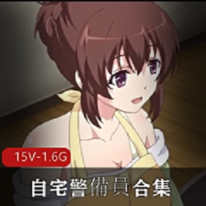 自宅警備員合集第一部1-4两个版本第二部1-615V1.6G
