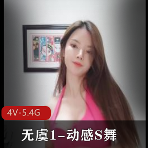 动感S舞：徐婕的舞蹈作品集，时长5小时，舞蹈爱好者必看！