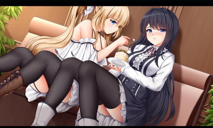 姫恋：拘束系百合gal游戏，香艳H场面，日式ADV，视频介绍