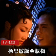 杨思敏版金瓶梅5集全DVD