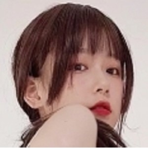 发条少女9月合集