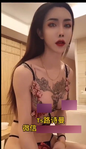 颜值伪娘合集-14位208v21G