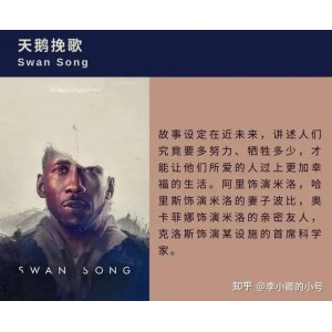 阿里云盘推荐：《天鹅挽歌4K》，极速下载，倍速观看，精彩原画，多设备投屏，多语言字幕