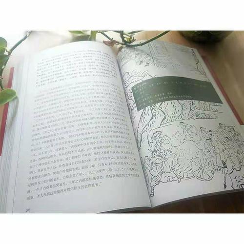 《审讯四人帮历史影像资料：珍贵的历史视觉记录》