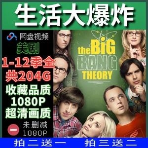 经典美剧《生活大爆炸》：1-12季全集高清资源及英文字幕