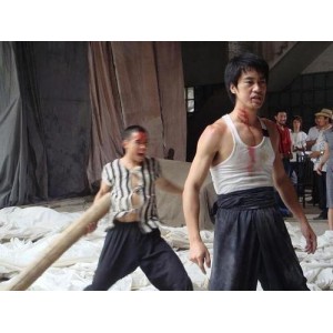 《李小龙传奇：陈国坤、王洛勇联手打造2007年传奇》