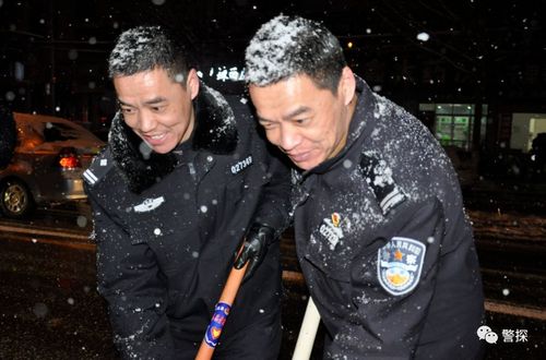 《国防生：军旅励志好剧，勇敢坚强的成长之路》