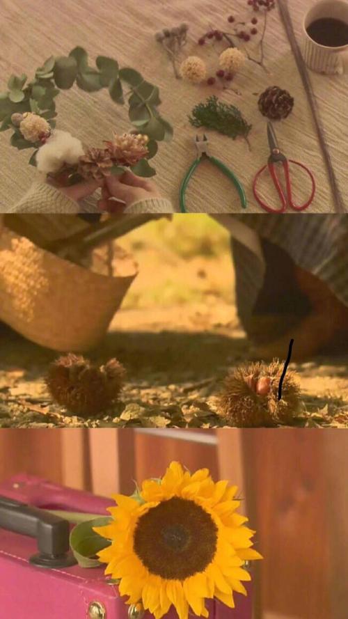 治愈系电影《幸福的面包》