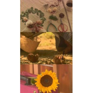 治愈系电影《幸福的面包》