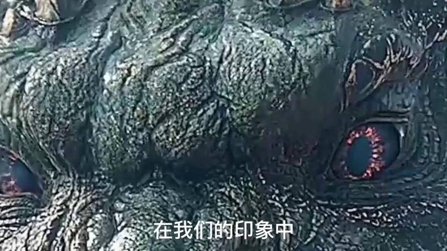 2022重启药王天棺·4K国语·原画鲜艳·倍速播放