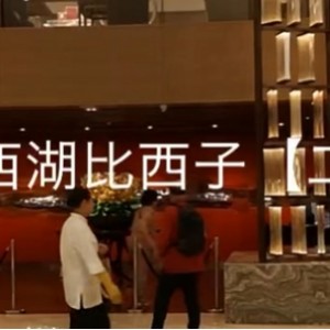 整理高手展示神技，小合集精彩纷呈视频数量