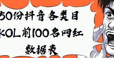 目KOL前100名网红数据表：探秘视频大小与数量背后的秘密