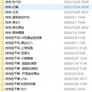 肉肉在弄嘛：NVNP+47.8G百度盘下载，分卷解压，别错过！