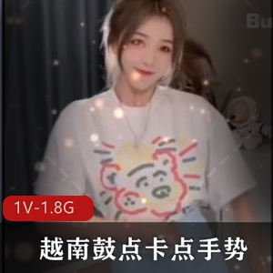 越南鼓点卡点手势L管舞超长合集，时长16分钟，1.8G，抖音网红必备！