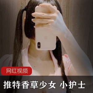 推特上的香草少女小护士作品