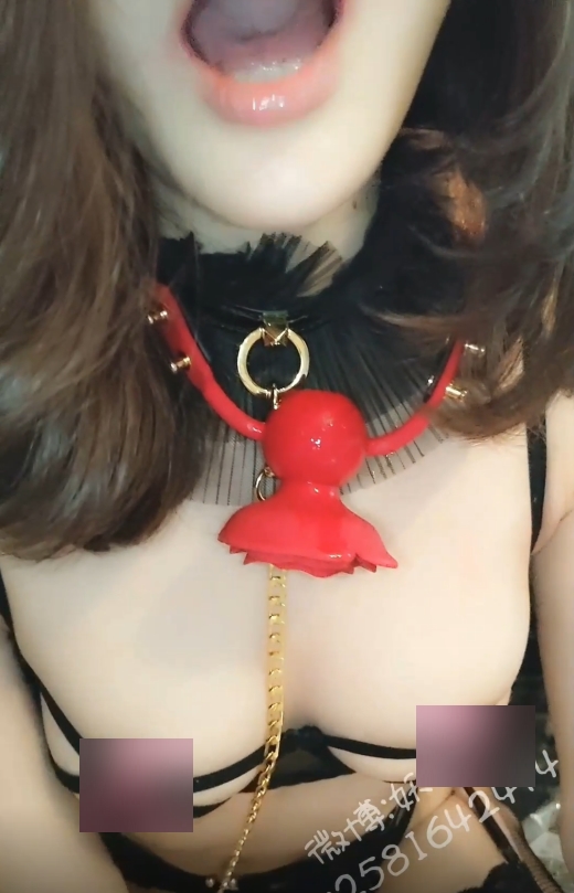 完具户外展示合集2V12.6G[2V+12.6G][百度盘]