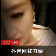 抖音网红刀姨新世界家常车灯韵味直播视频20V1.9G