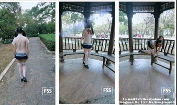 FSS系列冯珊珊超美犬任务合集