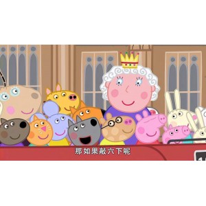 经典动漫全集：猫和老鼠、海贼王、火影忍者、名侦探柯南、请回答1988、速度与给力、小猪佩奇