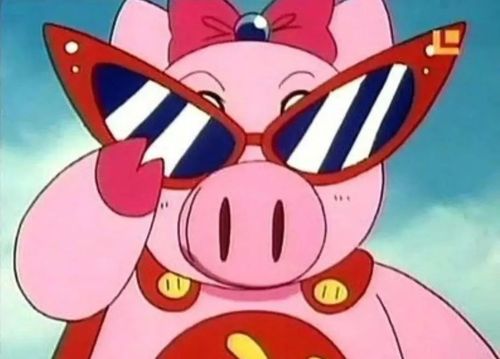 经典动漫全集：猫和老鼠、海贼王、火影忍者、名侦探柯南、请回答1988、速度与给力、小猪佩奇