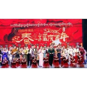 2022年央视及地方春节联欢晚会：4K超清饕餮盛宴