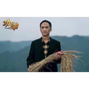 经典传记电影《袁隆平》：获13届中国电影华表奖的精彩之作