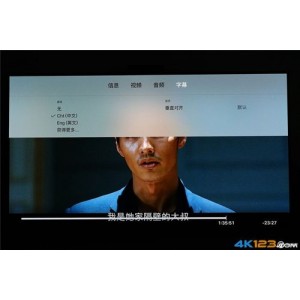 《极速在线查看4KREMUX原盘蓝光视频，无需下载，支持倍速播放》