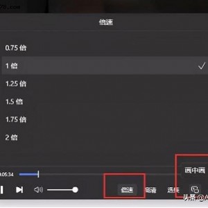 2022年经典动作片《二捕出山》HD国语版，阿里云盘免费下载，视频原画高清晰，倍速播放，极致观影体验