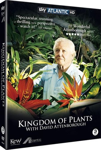 老友记+1+10季+重聚特辑2021+BluRay+x264+tenetty+rartv+...