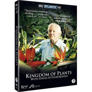 老友记+1+10季+重聚特辑2021+BluRay+x264+tenetty+rartv+...