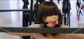 浅浅作品：木枷孔被鳄鱼拉扯铁链锁住1V+1G